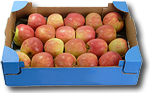 Fruit Box Cardboard