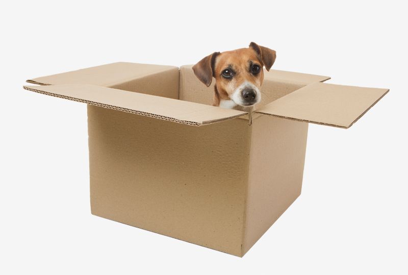 custom cardboard box
