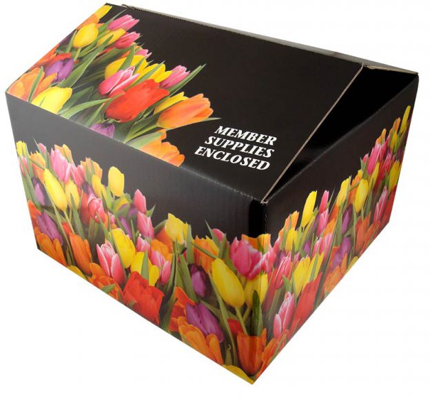 Regular slotted carton full color