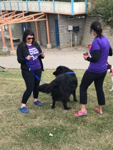 Dog Jog for SCARS