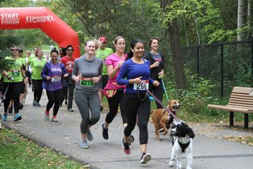 Instabox Dog Jog for Second Chance Animal Rescue 2019