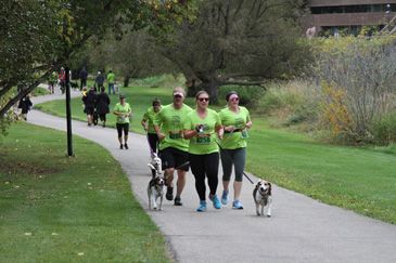 Instabox Dog Jog for Second Chance Animal Rescue 2019