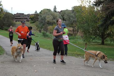 Instabox Dog Jog for Second Chance Animal Rescue 2019