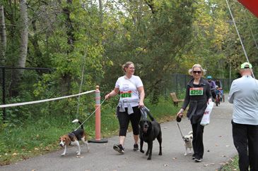 Instabox Dog Jog for Second Chance Animal Rescue 2019