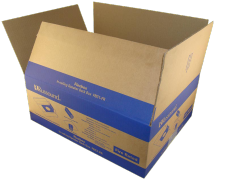 Custom Printed Shipping Box